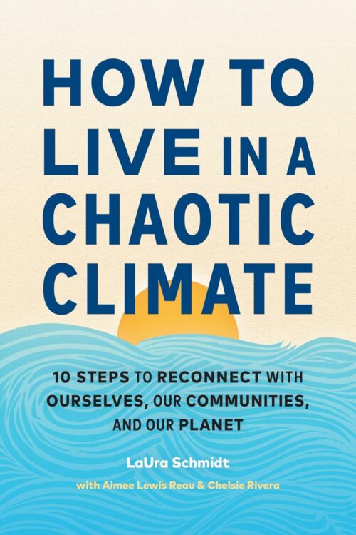 10 étapes pour renforcer la résilience dans un climat chaotique (GoodGriefNetwork)